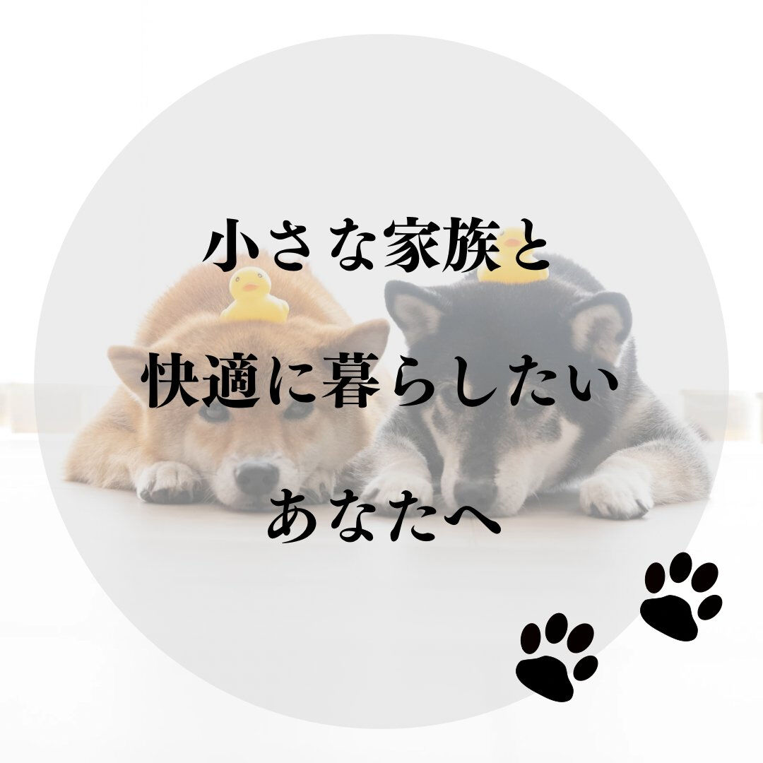 ワンちゃんとの快適な暮らしを実現したいあなたへ✨