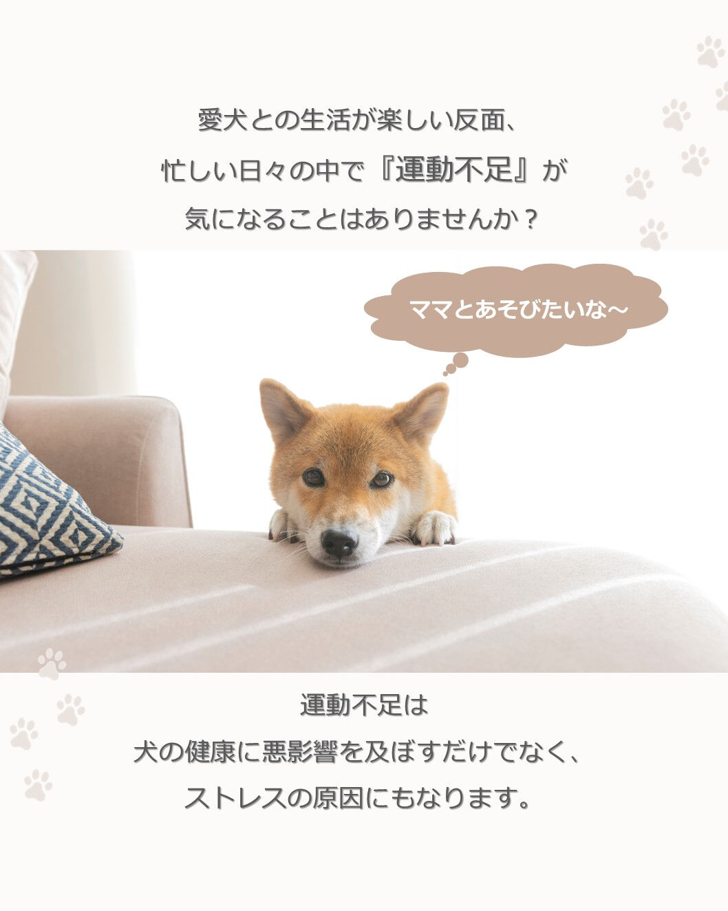 💡間取りで解決できる！愛犬の運動不足