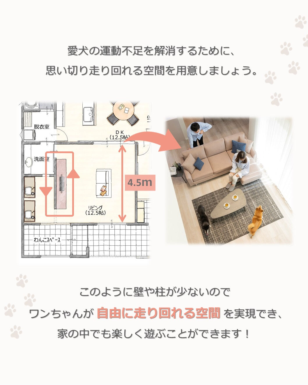💡間取りで解決できる！愛犬の運動不足