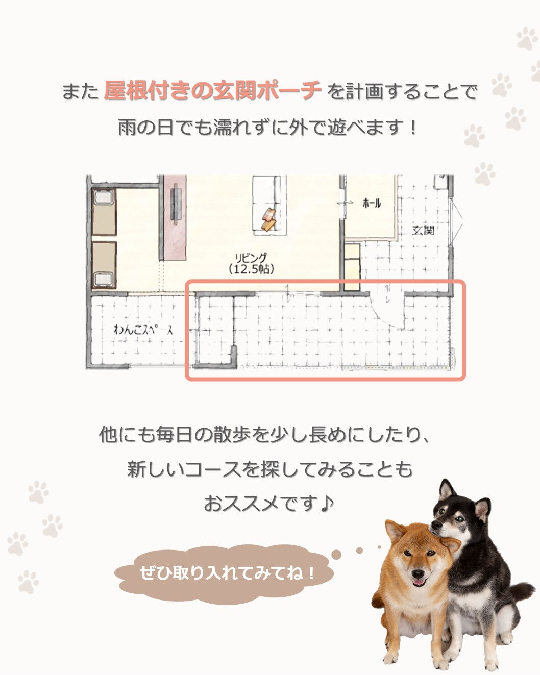 💡間取りで解決できる！愛犬の運動不足